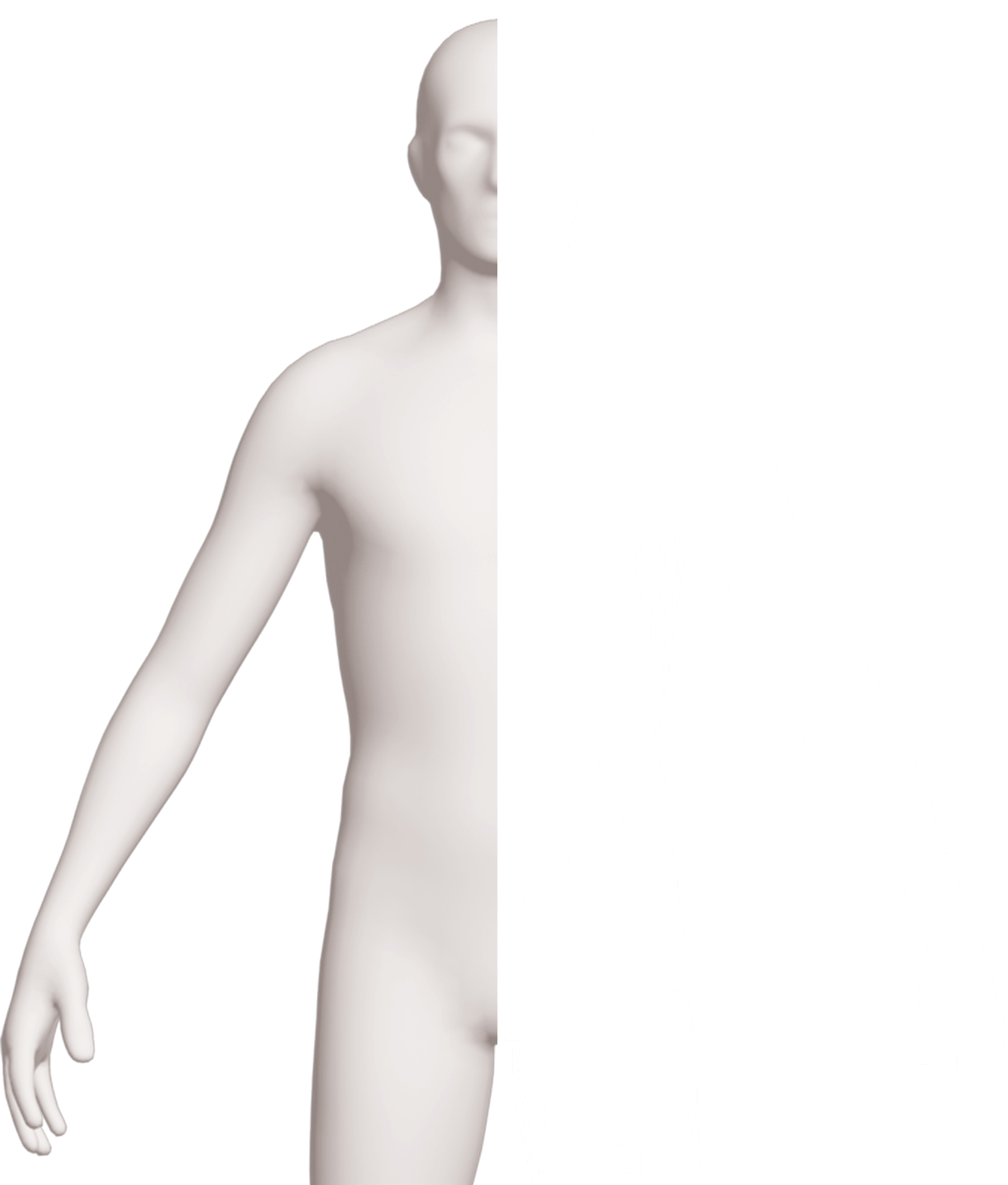 Det här ingår i helkroppsscreeningen