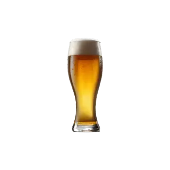 Hälsokontroll - Alkohol