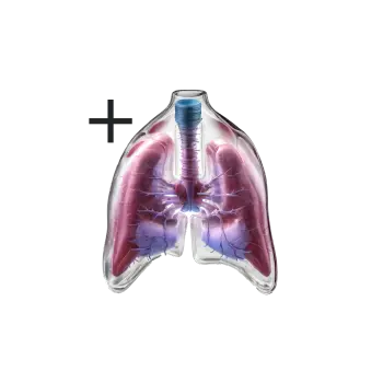 Sköldkörtelprov plus