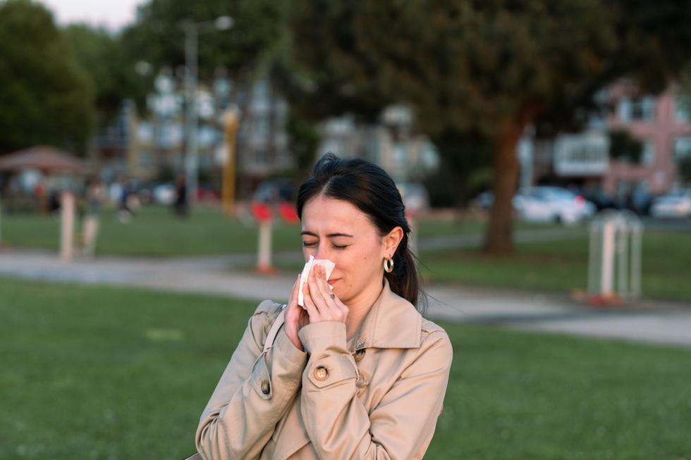 Pollenallergi – Symtom, hur du testar dig och behandling