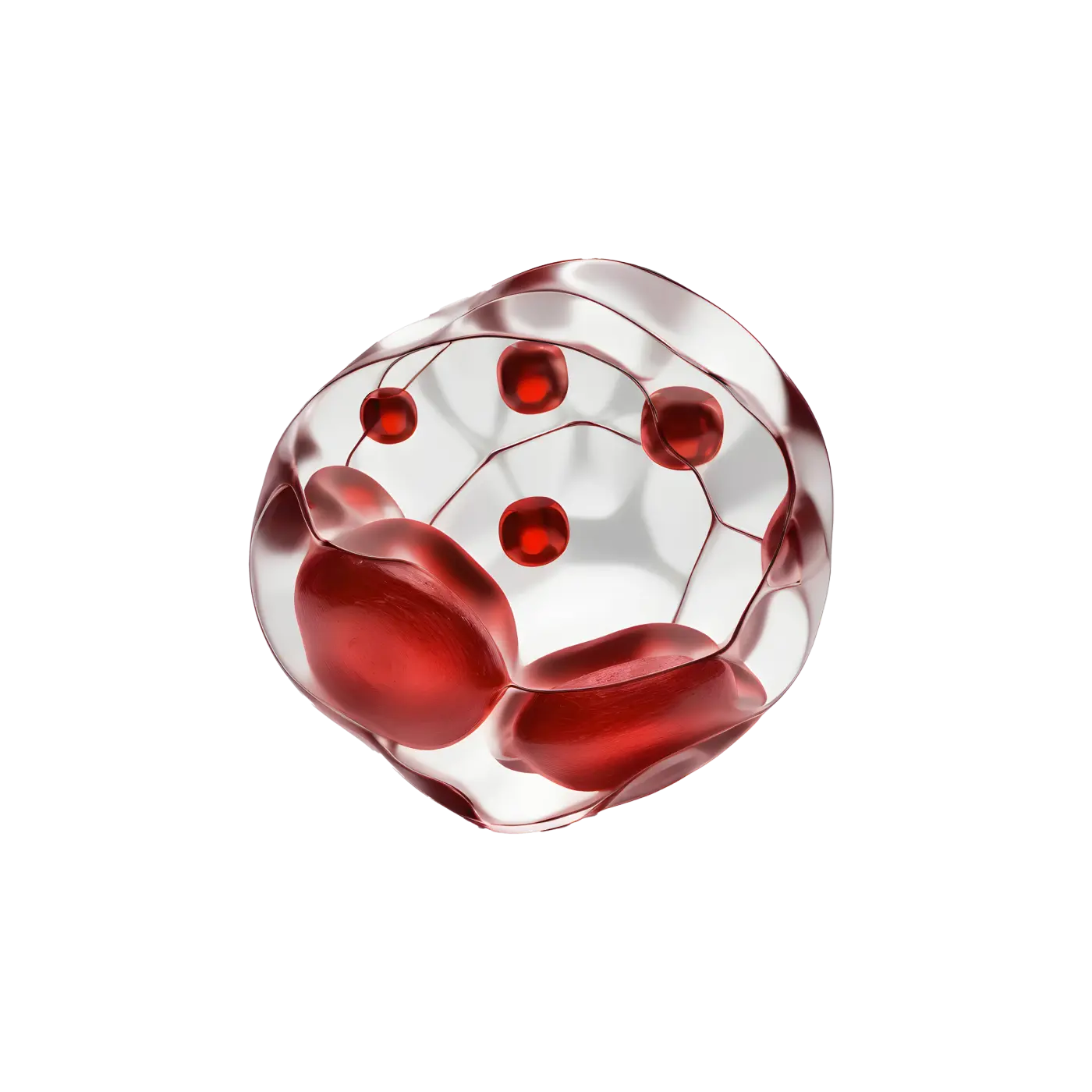 Blodstatus och B-celler test