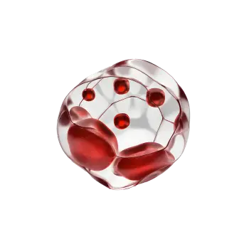 Blodstatus och B-celler test