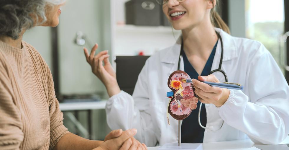 eGFR och njurfunktionen – Så tolkar du dina njurvärden